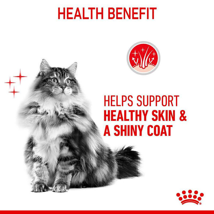 غذای خشک گربه مراقبت از پوست و مو رویال کنین Royal Canin Hair & Skin Care