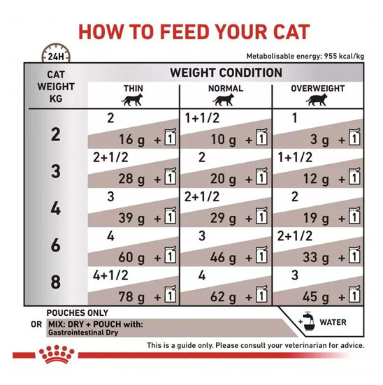 غذای خشک گربه گاسترو اینتستینال رویال کنین Royal Canin Gastrointestinal دو کیلویی