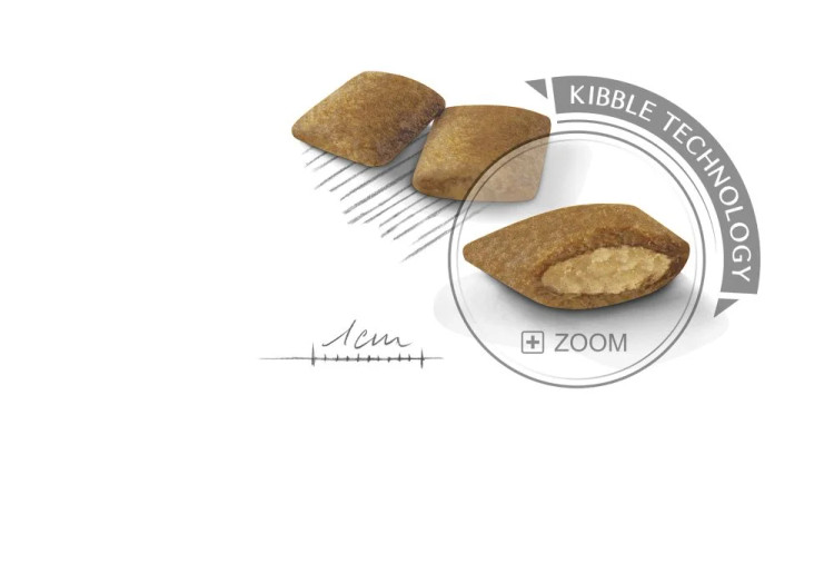 غذای خشک سگ رویال کنین مینی اکسیجنت ROYAL CANIN MINI EXIGENT 3KG