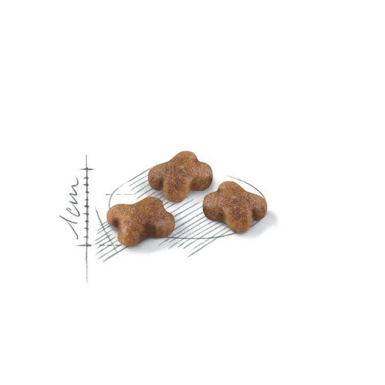 غذای خشک گربه رویال کنین استرلایزد ROYAL CANIN STERILISED